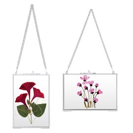 JUXYES Set of 2 Brass Wall Hanging Photo Frame, Glass Hanging Picture Artwork Display Frame, Double Glass Floating Frame Style Gallery Wall Frame for Photo Picture Poster etc