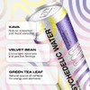 Psychedelic Water Blackberry + Yuzu, Mood Enhancing Relaxation Drink, 12