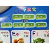 ZAOZHIHUI Children's Early Education Audible Sound Charts --English Letters &