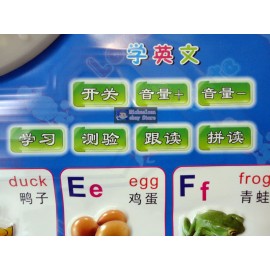 ZAOZHIHUI Children's Early Education Audible Sound Charts --English Letters & Numbers