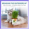Pre-Grown Organic Cat Grass Plant for Indoor Cats. Natural Live