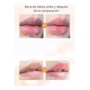 Balsamo Para Labios Hidratante Vaselina + Exfoliante 6 Duos