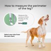 Ortocanis - Carpal Support for Dogs with Arthrosis, Ligament Injuries
