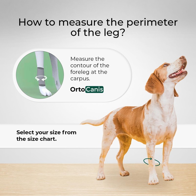 Ortocanis - Carpal Support for Dogs with Arthrosis, Ligament Injuries