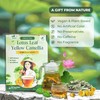 NMPT Dried Lotus Leaf Yellow Camellia Tea, Handpicked, Organic Herbal
