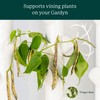 Gardyn Trellis Hydroponics Growing System Accessory That Supports Vining Indoor
