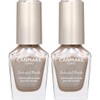 Canmake Colorful Nail N115 Shelf Float 8ml Nail High Color Quick Dry Silver (x2) 2-Pack / 캔메이크 컬러풀 네일 N115 쉘프 플로트 8ml 네일 하이 컬러 퀵 드라이 실버 (x2) 2개 팩