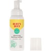 Burt's Bees Skin Nourishment Gentle Foaming Cleanser For Normal To