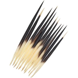 10Pcs Porcupine Quills Hair Stick Indian Crafts Accessories Porcupine Quills Fishing Buoy DIY Sewing Project Kits Thimbles
