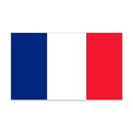 Truly Teague 35 x 21 Wall Vinyl Sticker Flag of France