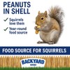 CountryMax Backyard Seeds in-Shell Raw Unprocessed Peanuts 5lbs - Premium