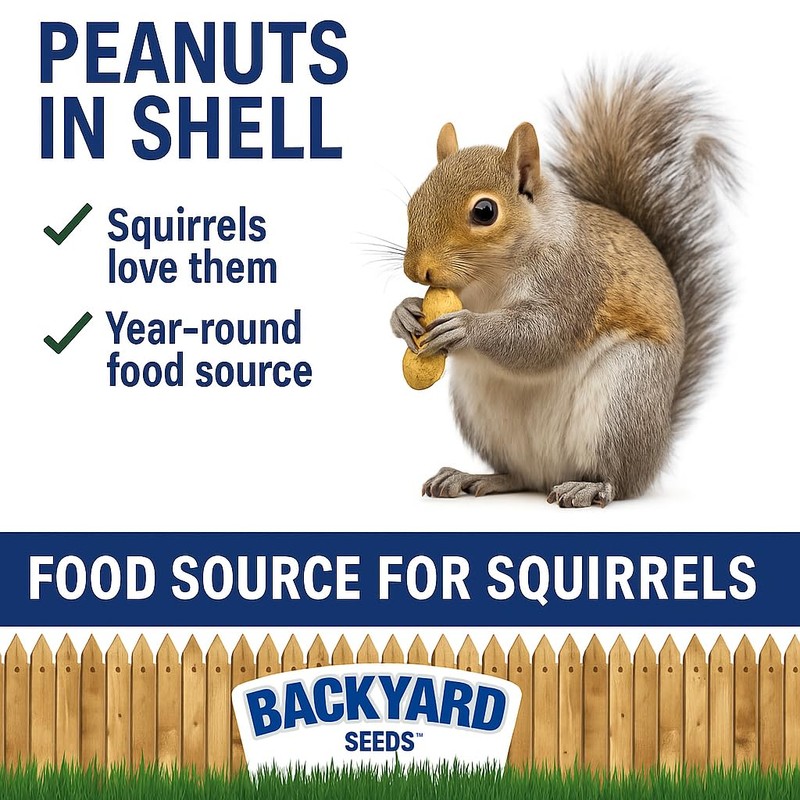 CountryMax Backyard Seeds in-Shell Raw Unprocessed Peanuts 5lbs - Premium