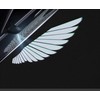 Car rearview mirror welcome led light universal Angel wings welcome