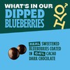 Orchard Valley Harvest Orchard Valley Harvest Dark Chocolate Dipped Blueberries,