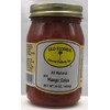 Old Florida Gourmet Products Inc, Salsa Mild Mango, 17 Ounce