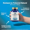 Hongo Chaga Cápsulas 500 Extracto Puro Adaptógeno Antioxidante Sistema Inmune