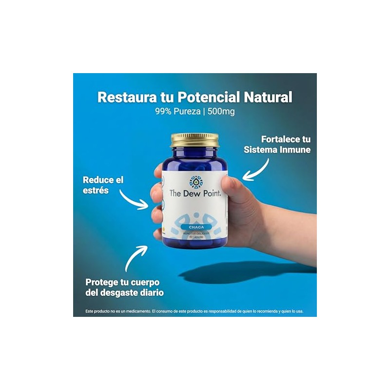 Hongo Chaga Cápsulas 500 Extracto Puro Adaptógeno Antioxidante Sistema Inmune