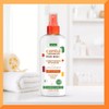 Care For Kids Conditioning Detangler by Cantu for Kids -