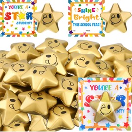 Deekin 24 Pack Back to School Gifts for Students Smile Squeeze Star Stress Balls with Blessing Cards for School Classroom Prizes Gifts Exchange Classroom Party Favors Boys Girls(Bright)