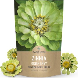 Zinnia Green Envy - Bulk 1/4 Pound Pouch - 15,000 Flower Seeds for Planting - Zinnia elegans