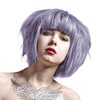 La Riché Directions Wisteria Colour Cream for Tying Hair Colour