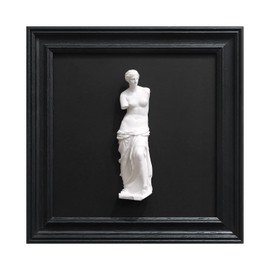 FOLKOR LIFE Framed Black and White Art Sculpture for Living Room Wall Decor, Greek Venus Statue Plaster Hanging Sculpture, Antique Roman Mythology Wall Plaque for Dining Room Decoration
