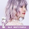 COLORR GENERATION MISTY PURPLE Color Treatment, 5.3 oz (150 g)