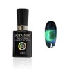 JOYA MIA Cat Eye Gel Nail Polish Cat Eye 9D