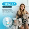 Ca-p Ruiland Vitaminas Minerales de Calcio y Fósforo Suplemento para
