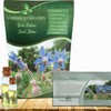 Outsidepride Blue Borage Seeds for Planting – 1 oz. Annual,
