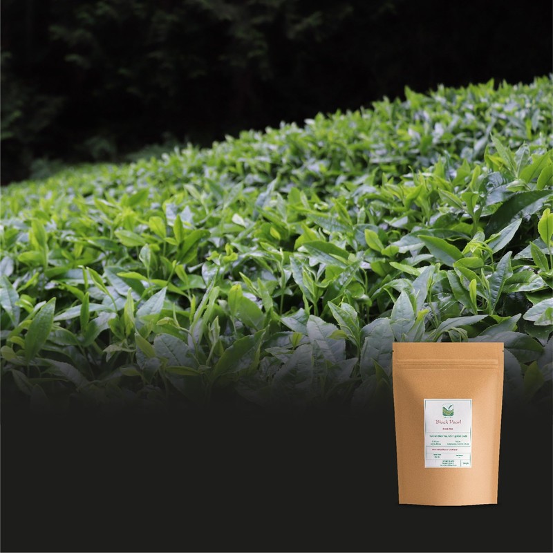 Yunnan Black Dragon Pearls Tea - Strong and Malty Pearl