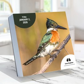 TF Publishing 2026 Birds: Backyard & Beyond Daily Desktop Calendar