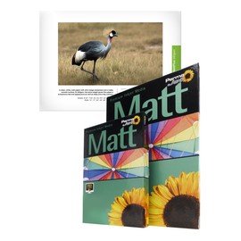 PermaJet 51102 6-Inch ×4-Inch 240g Digital MattPlus Paper