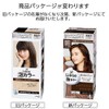 リーゼ 泡カラー 髪色もどしナチュラルブラウン 108ml 【医薬部外品】