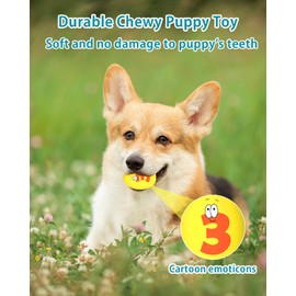 TONGKTAI Puppy Toys Squeaky Funny Squeaky Soft Interactive Pet Chew Toys for Puppy Small Medium Breed 10 Pack