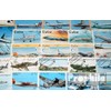 Motives 150 various Aircraft stamps (Stamps for collectors) Airplanes/Balloons/Zeppelins/Aviation