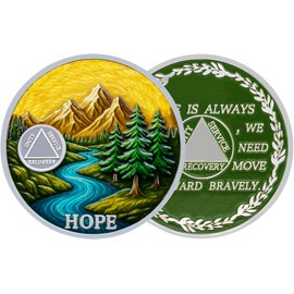 Journey of Life Sobriety Coin - AA Coin - Sobriety Gifts for Women and Men - Sober Gifts Alcoholics Anonymous Medallion