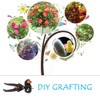 Ballery Grafting Tool Kit, Garden Grafting Scissors Grafting Scissors Ratchet