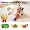 Furlof Cat Toy Fish Fidget Movable Cat Toy Fish Fidget