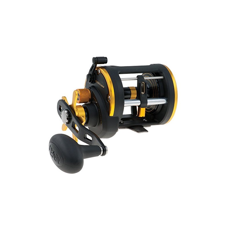 Penn Squall 20 Level Wind Star Drag