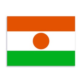Flag of Niger Sticker Decal Notebook Car Laptop 5.5"x4" (Color)