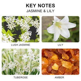 L'odeur Vill Reed Diffuser Set, 6.7 oz(200ml) Jasmine & Lily Scented Diffuser with 6 Oil Diffuser Sticks, Home Fragrance Essential Oil Reed Diffuser for Home Large Rooms Bathroom Shelf Decor