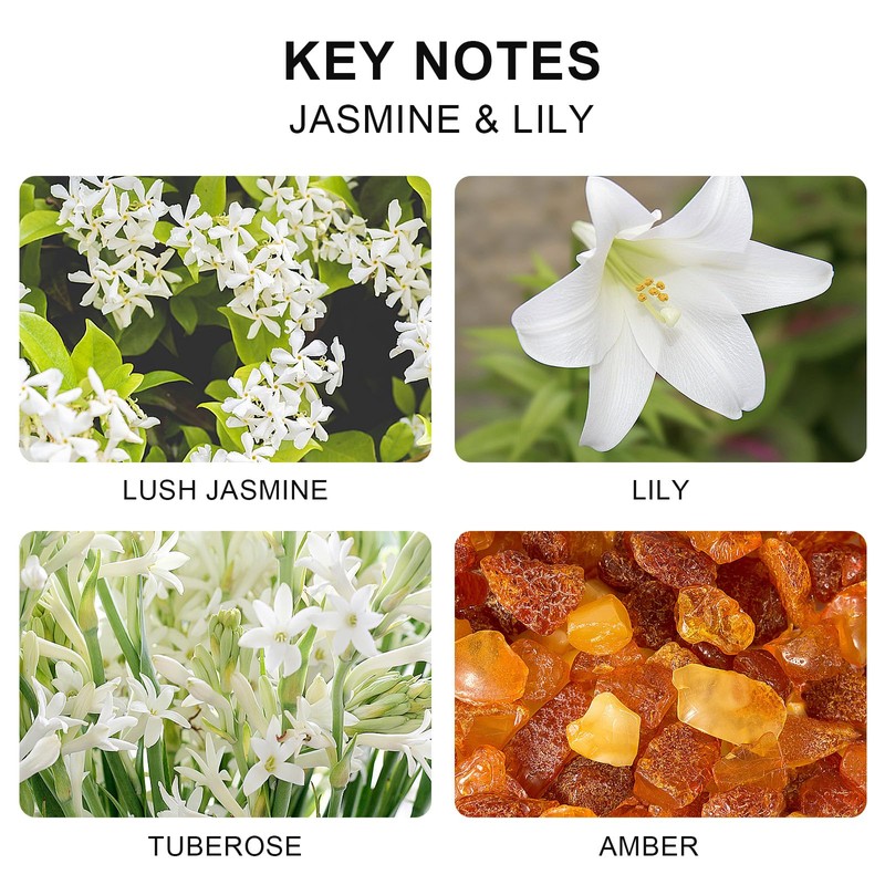 L'odeur Vill Reed Diffuser Set, 6.7 oz(200ml) Jasmine & Lily