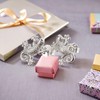 FIVE-D Earrings Salamander Gecko 925 Silver in Jewellery Case, Sterling