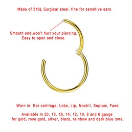 FANSING 16g 5mm Tragus Hoop Small Cartilage Earring Rook Earrings Daith Earrings Tragus Earrings Anti-Tragus Earring Gold Hoop Nose Ring Nose Rings 16 Gauge 5mm