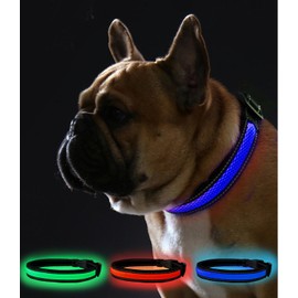 COMOIL Waterproof Led Dog Collar, USB Rechargeable Light Up Dog Collar，Adjustable Fit Glow Collar for Walking, Jogging and Running at Night(Blue XXS)