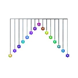 Transcontinental Group Snowflake V Curtain Light with 15 LEDs