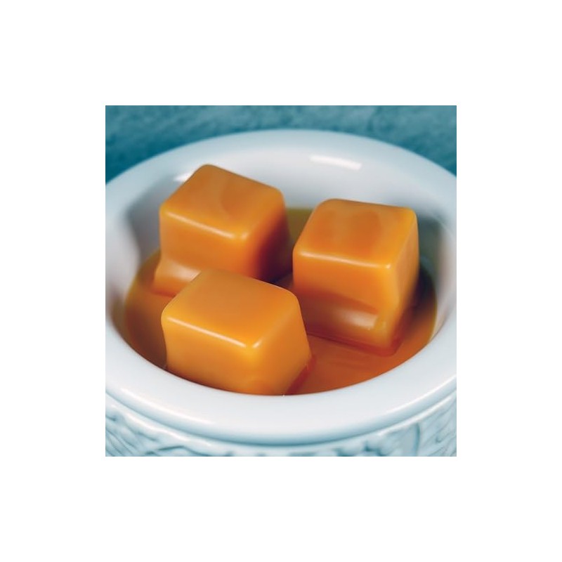 Ohana Scents Island Fresh Gain Wax Melts