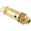 Fittingteile Brass Safety Valves Adjustable (Not Component Tested) Boiler Compressed