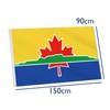 Thunder Bay Flag,3x5 FT Canadian City Thunder Bay Flag,36x60 Inch